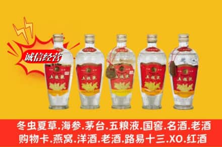 保定市曲阳回收老五粮液