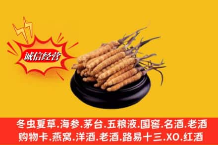 保定市曲阳名酒回收冬虫夏草.jpg